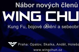 Petr Brunner Wing Chun - škola Kung Fu a sebeobrany