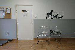 PremiumVet Clinic and Home